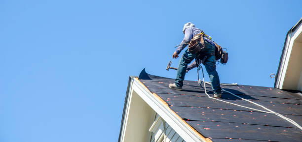 Best Residential Roof Replacement  in Preston, IA